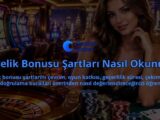 Uyelik-Bonusu-Sartlari-Nasil-Okunur-overlay-1789750416.jpg
